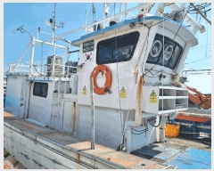  2025Ÿ263 ׽          ڰ