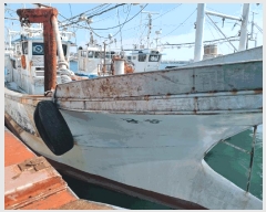  2025Ÿ263 ׽          ڰ