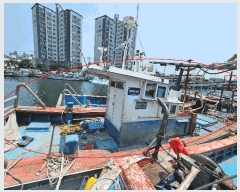  2025Ÿ��344  ���ڰ��