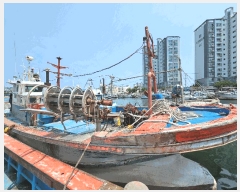  2025Ÿ��344  ���ڰ��