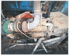  2025Ÿ��344  ���ڰ��