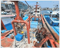  2025Ÿ��344  ���ڰ��