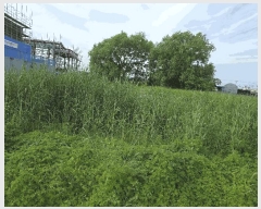  2025Ÿ��359  ����