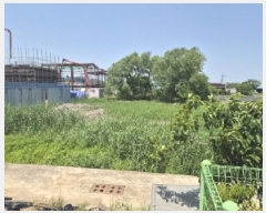  2025Ÿ��359  ����