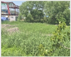  2025Ÿ��359  ����