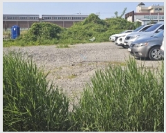  2025Ÿ��364  �������