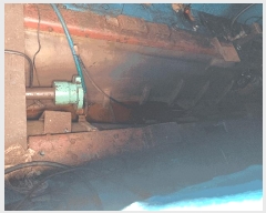  2025Ÿ369 ׽          ڰ