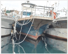  2025Ÿ369 ׽          ڰ