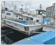  2025Ÿ369 ׽          ڰ