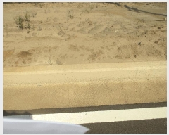  2025Ÿ��374 ��� ���׽� �ϱ� ������ ���θ� ��178-18     ����(�Ӿ�)���