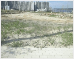  2025Ÿ��374 ��� ���׽� �ϱ� ������ ���θ� ��178-18     ����(�Ӿ�)���