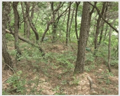  2025Ÿ��379 ��� ���׽� ���� ������ ������ ��32     ����(�Ӿ�)���