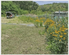  2025Ÿ��379 ��� ���׽� ���� ������ ������ ��32     ����(�Ӿ�)���