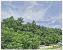  2025Ÿ��379 ��� ���׽� ���� ������ ������ ��32     ����(�Ӿ�)���