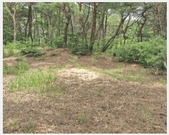  2025Ÿ��379 ��� ���׽� ���� ������ ������ ��32     ����(�Ӿ�)���