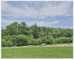  2025Ÿ��379 ��� ���׽� ���� ������ ������ ��32     ����(�Ӿ�)���