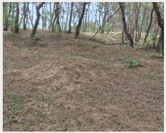  2025Ÿ��379 ��� ���׽� ���� ������ ������ ��32     ����(�Ӿ�)���