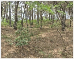  2025Ÿ��379 ��� ���׽� ���� ������ ������ ��32     ����(�Ӿ�)���