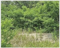  2025Ÿ��379 ��� ���׽� ���� ������ ������ ��32     ����(�Ӿ�)���