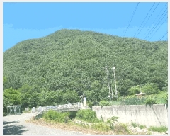  2025Ÿ��384 ��� ���׽� �ϱ� ����� �ϻ縮 ��78     ����(�Ӿ�)���