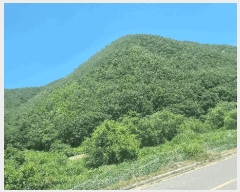  2025Ÿ��384 ��� ���׽� �ϱ� ����� �ϻ縮 ��78     ����(�Ӿ�)���