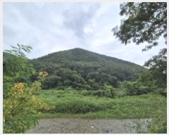  2025Ÿ��384 ��� ���׽� �ϱ� ����� �ϻ縮 ��78     ����(�Ӿ�)���