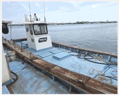  2025Ÿ��394  ���ڰ��