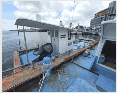  2025Ÿ��394  ���ڰ��