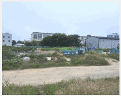  2025Ÿ��399  ����