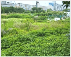  2025Ÿ��399  ����