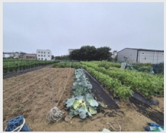  2025Ÿ��399  ����