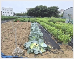  2025Ÿ��399  ����