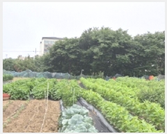  2025Ÿ��399  ����