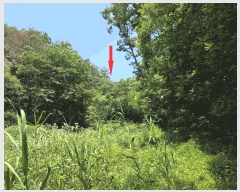  2025Ÿ��404 ��� ���׽� ���� �������� ������ ��24-4     ����(�Ӿ�)���