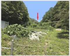  2025Ÿ��404 ��� ���׽� ���� �������� ������ ��24-4     ����(�Ӿ�)���