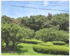  2025Ÿ��404 ��� ���׽� ���� �������� ������ ��24-4     ����(�Ӿ�)���