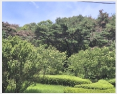  2025Ÿ��404 ��� ���׽� ���� �������� ������ ��24-4     ����(�Ӿ�)���