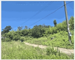  2025Ÿ��409 ��� ���׽� ���� ���� ������ 46     ����(��)���