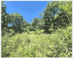  2025Ÿ��409 ��� ���׽� ���� ���� ������ 46     ����(��)���