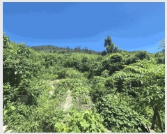  2025Ÿ��409 ��� ���׽� ���� ���� ������ 46     ����(��)���