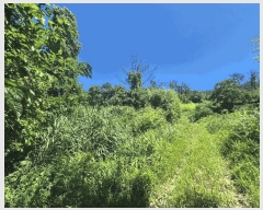  2025Ÿ��409 ��� ���׽� ���� ���� ������ 46     ����(��)���