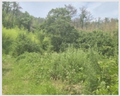  2025Ÿ��409 ��� ���׽� ���� ���� ������ 46     ����(��)���