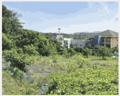  2025Ÿ��437 ��� ���׽� ���� ��õ�� ���踮 611-8     ����(��)���