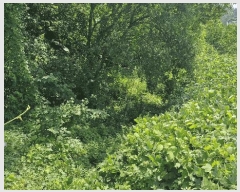  2025Ÿ��437 ��� ���׽� ���� ��õ�� ���踮 611-8     ����(��)���