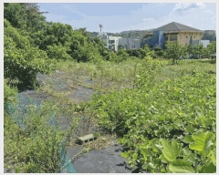  2025Ÿ��437 ��� ���׽� ���� ��õ�� ���踮 611-8     ����(��)���