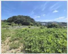  2025Ÿ��437 ��� ���׽� ���� ��õ�� ���踮 611-8     ����(��)���