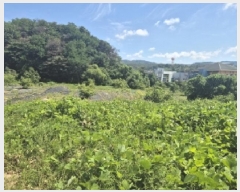  2025Ÿ��437 ��� ���׽� ���� ��õ�� ���踮 611-8     ����(��)���