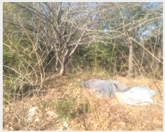  2025Ÿ��3051  �����