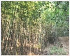  2025Ÿ��3051  �����