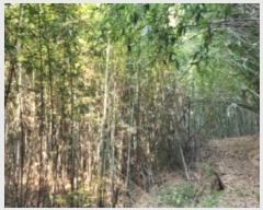  2025Ÿ��3051  �����